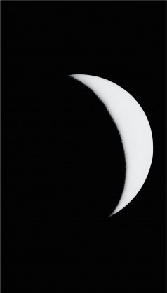 Venus Crescent